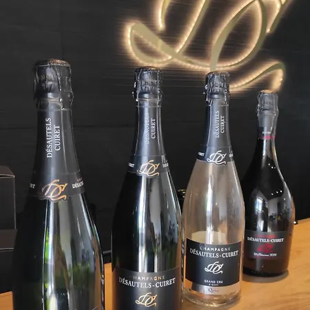 Bulles D'evasion, Jolie Maison Rénovée à Avize